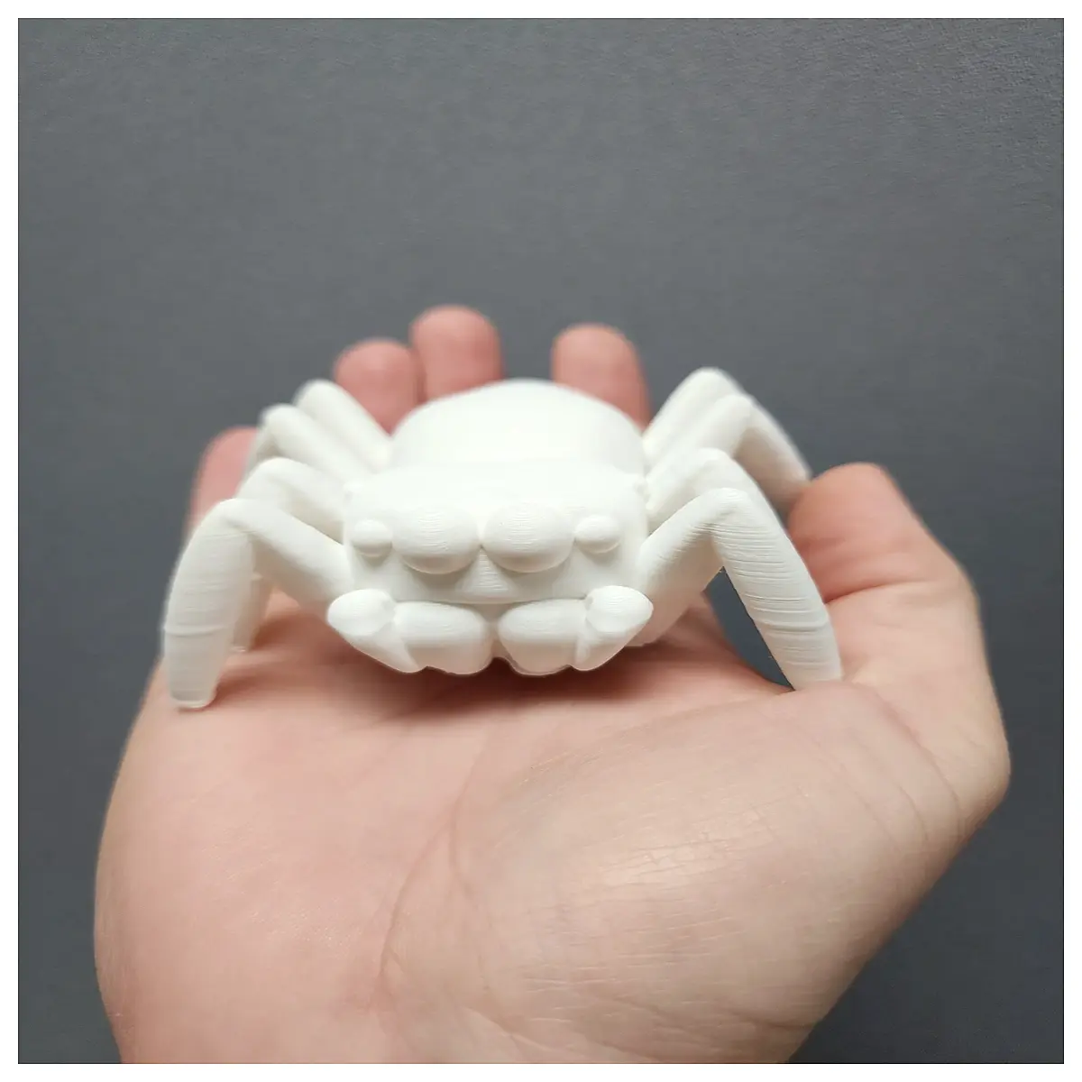 jumping spider realistic arachnid figurine educational science toy for kids nature observation collection