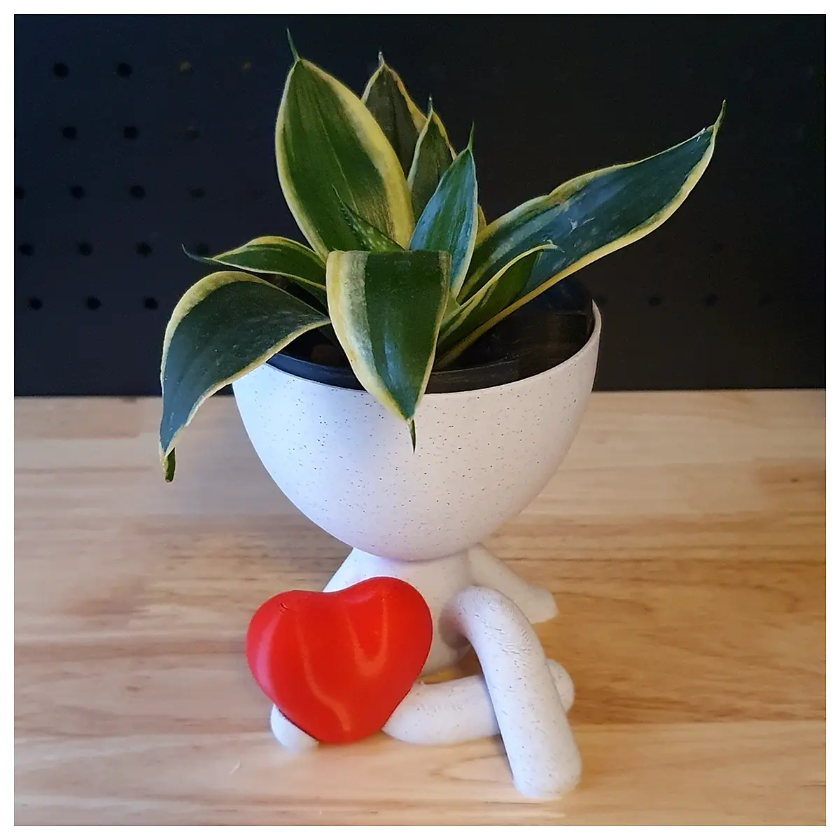 roberts shaped planter pot for succulents indoor home decor