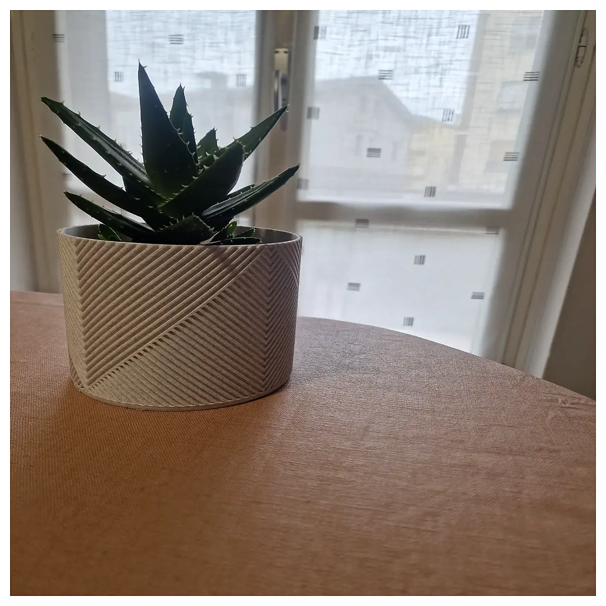 succulent pots with drainage small ceramic planter for cactus air plant terrarium container