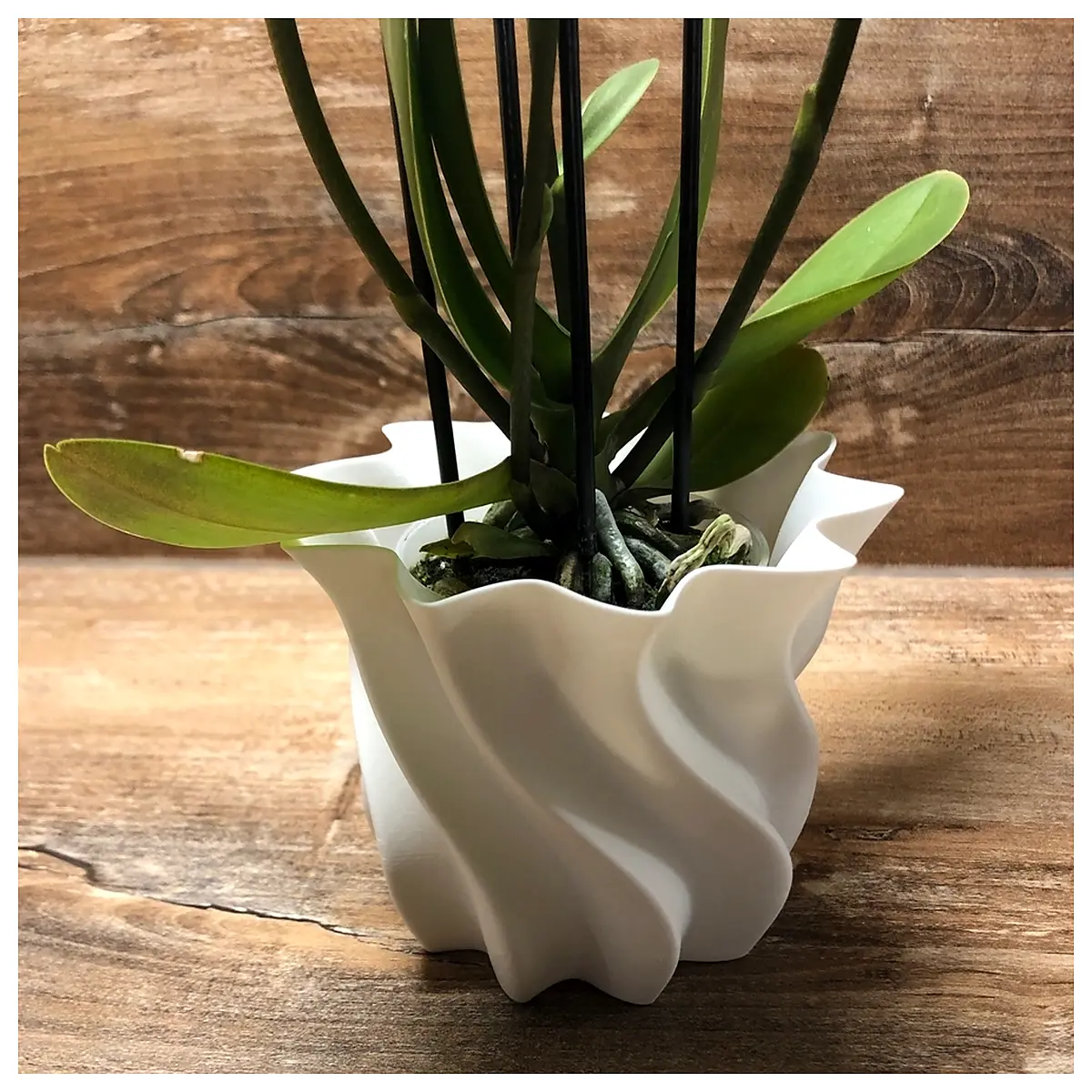 7cm mini succulent pots with drainage hole small planters for cactus indoor desk garden