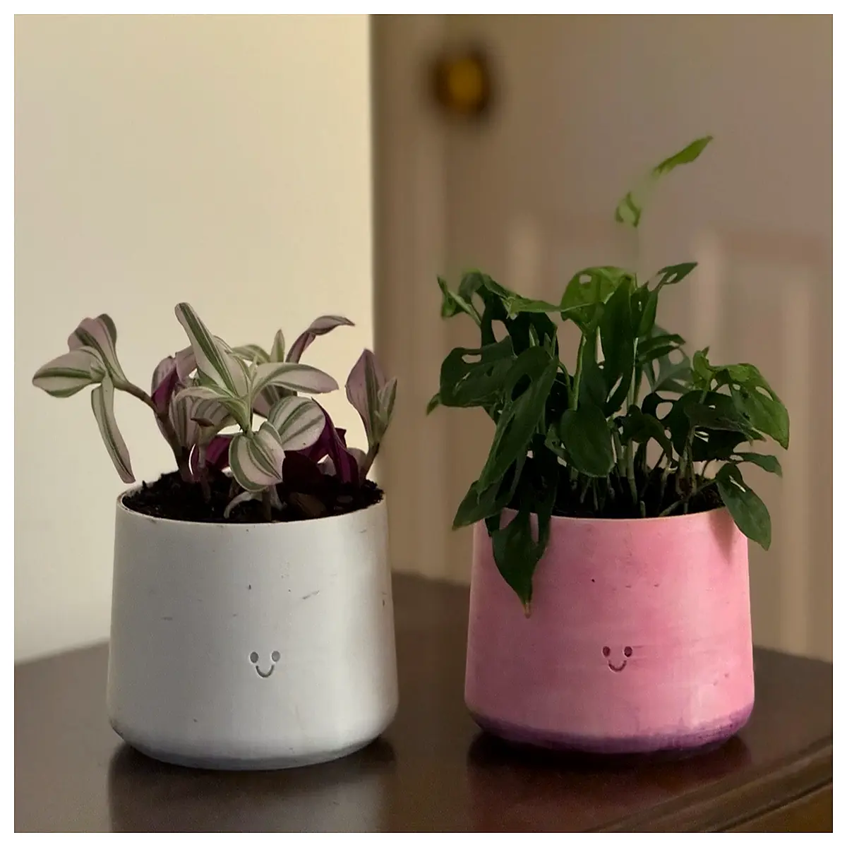 happy face planter cute smiling flower pot decorative garden vase for succulents indoor outdoor home decor