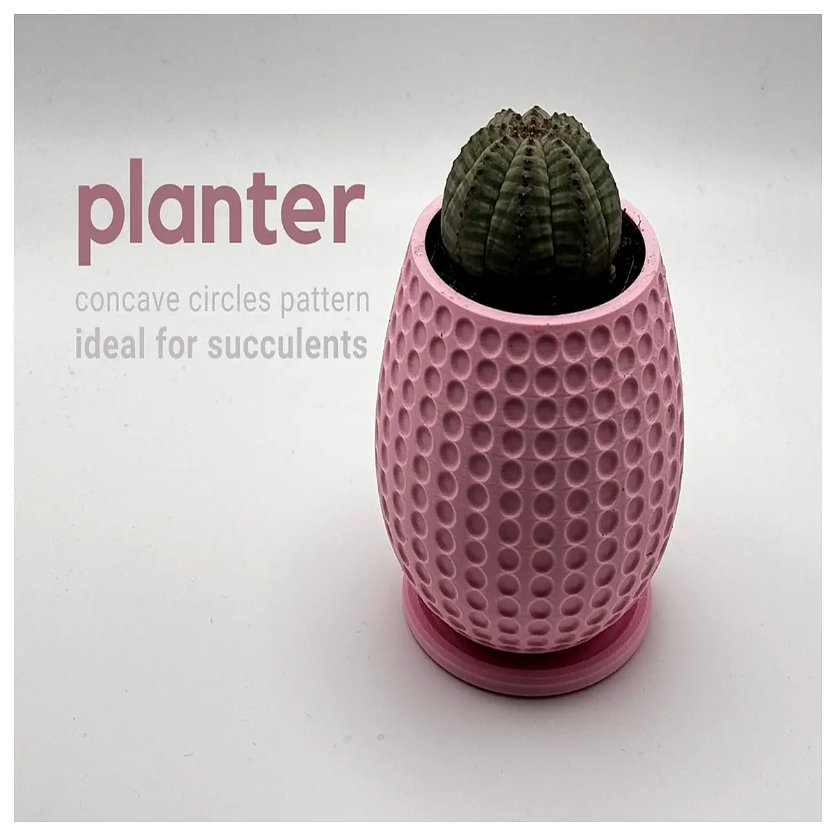 concave round planter pot ceramic succulent container modern indoor garden decor