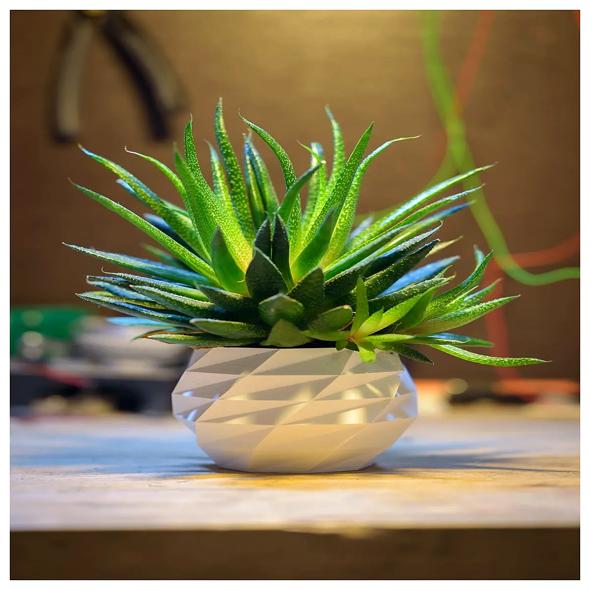 octagonal ceramic planter pots for indoor plants succulents cactus decorative garden flower box