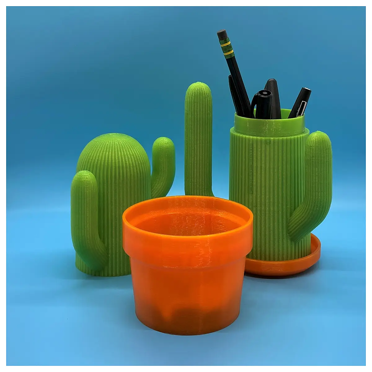 cactus box storage organizer desktop succulent planter pot decorative home office plant lover