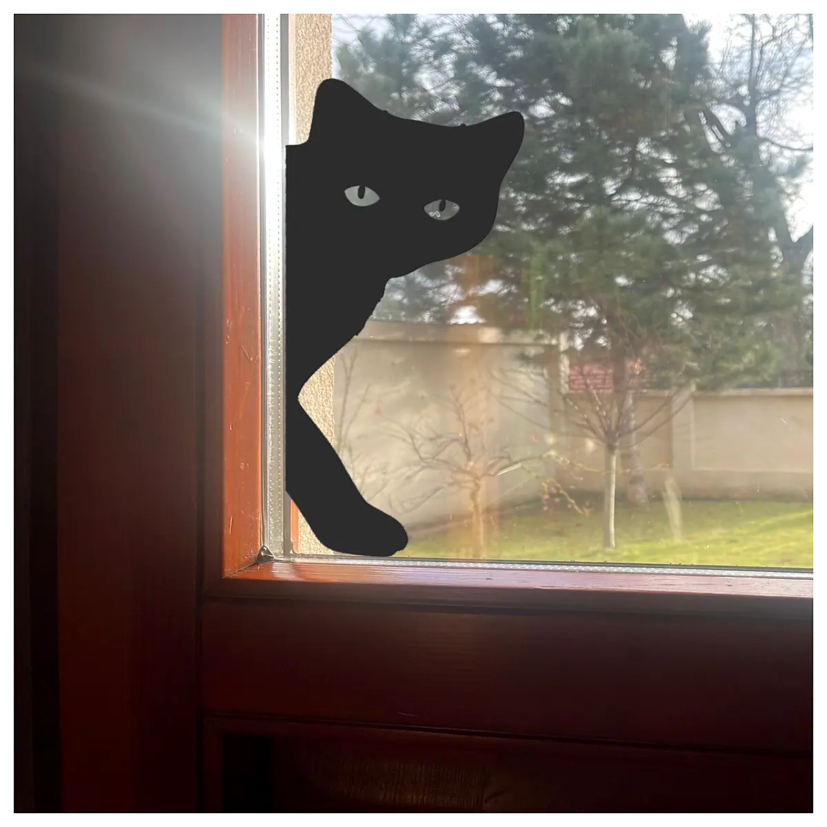 cat window perch decoration catnip filled toy for cats indoor hanging bird feeder with camera cute animal shaped window sill decor