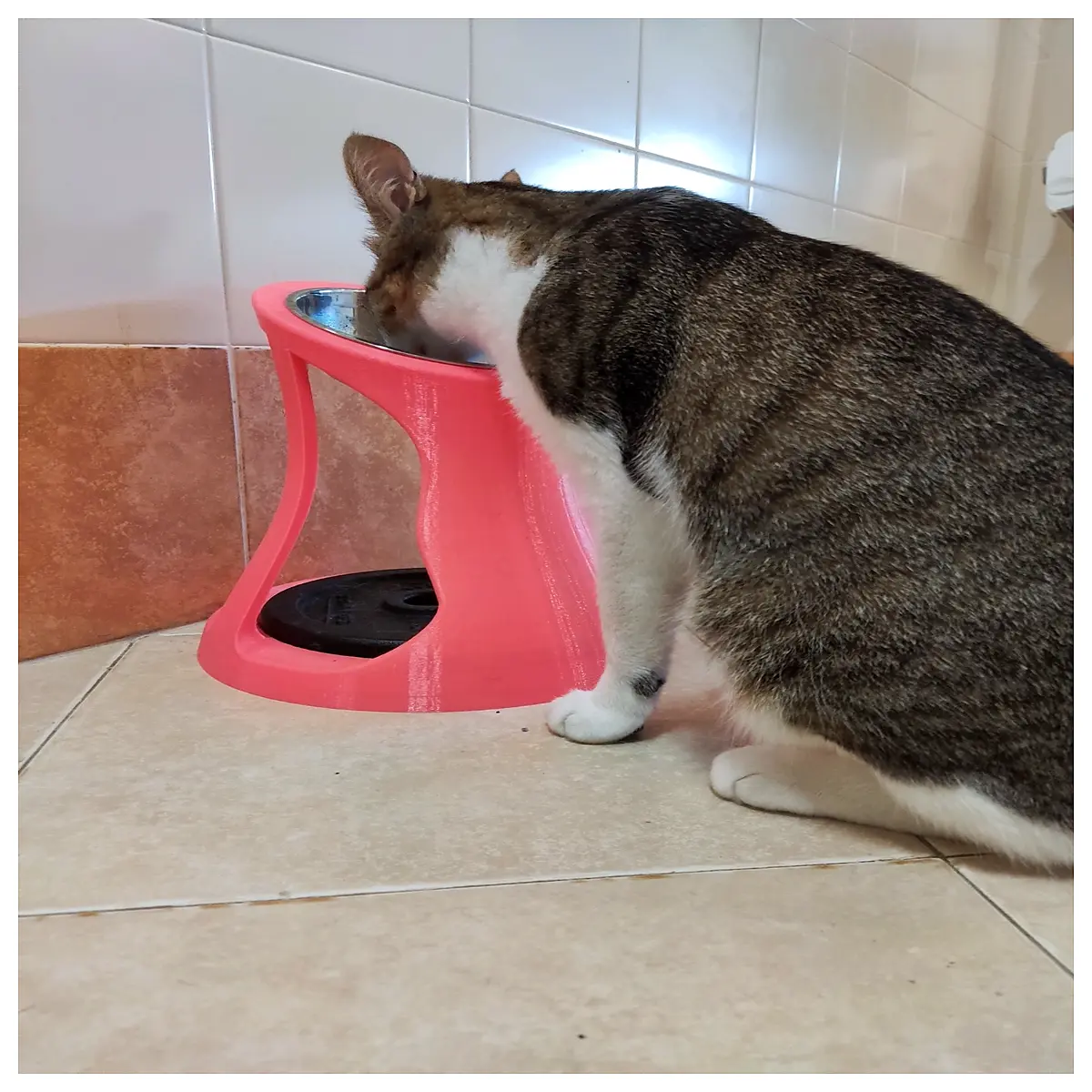 elevated cat food bowl adjustable height anti spill slow feeder dish for large dogs and cats ergonomic feeding station