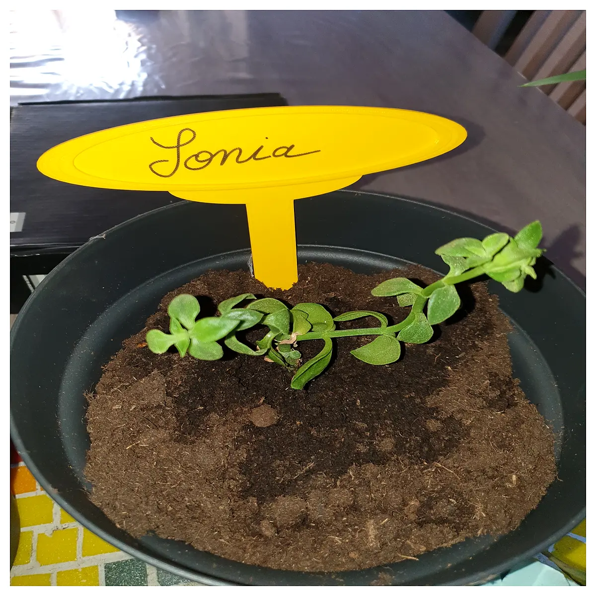plant name tags for garden pots waterproof plant markers with clips herb labels for indoor outdoor gardening supplies