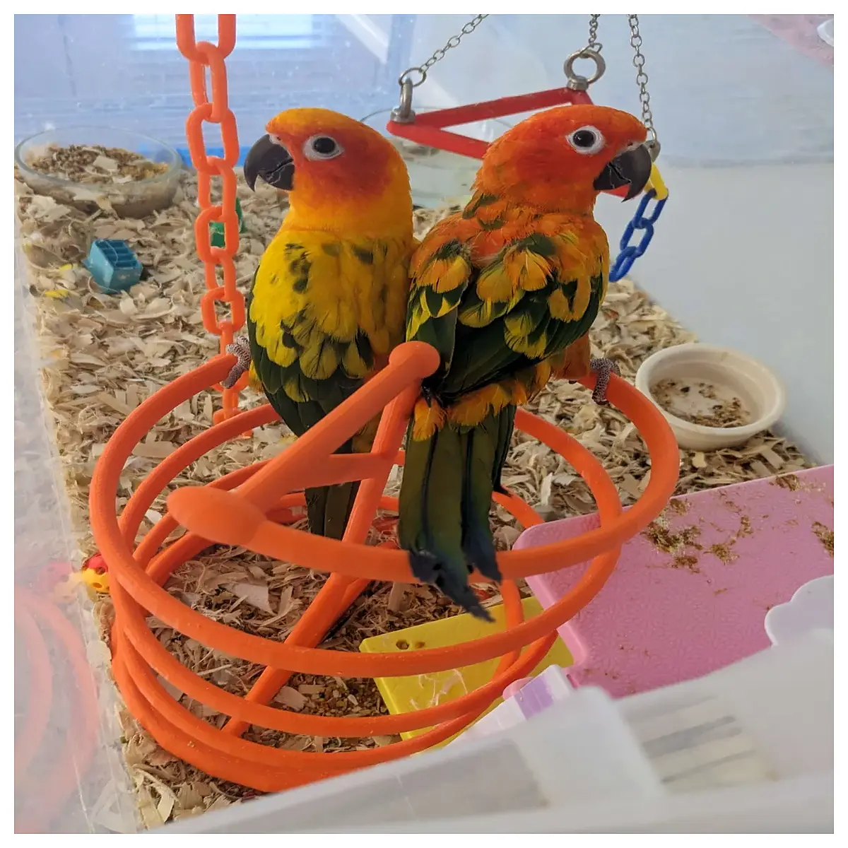 cute bird squeaky toy for dogs small breed interactive plush pet plaything