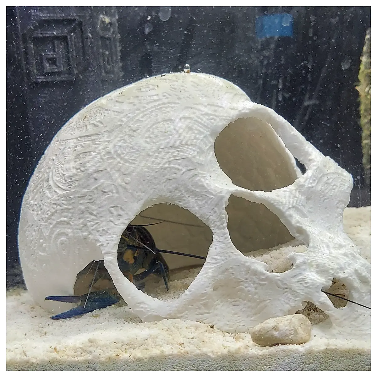 aquarium skull decoration resin bone fish tank ornament spooky halloween decor for freshwater saltwater tanks