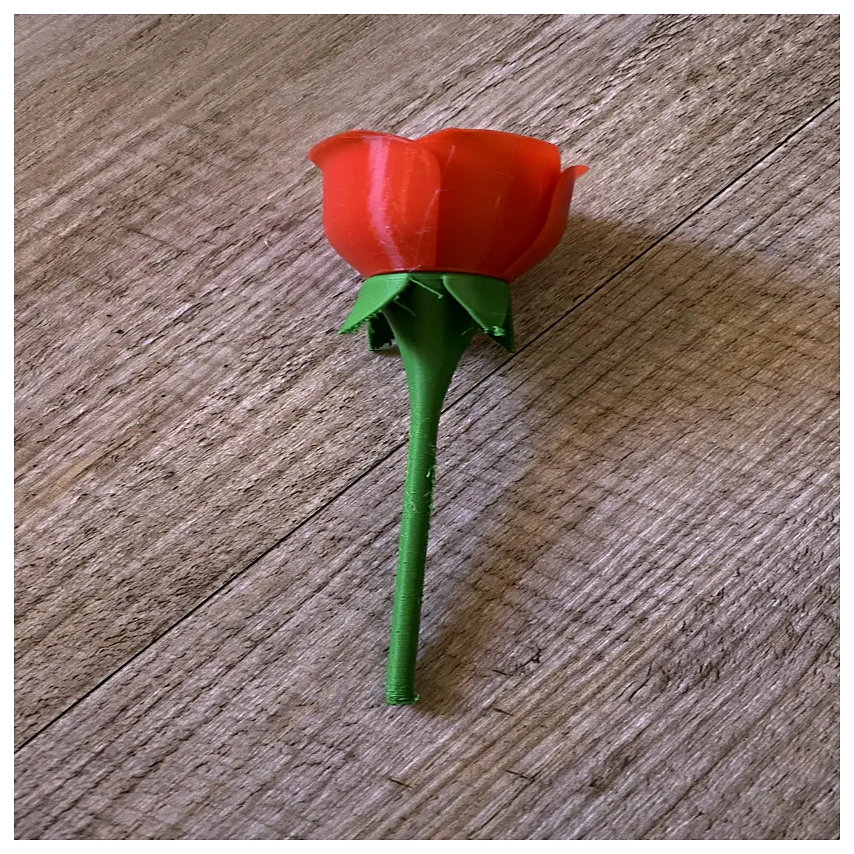 long stem red roses bulk wholesale for wedding centerpieces anniversary gifts fresh cut flowers