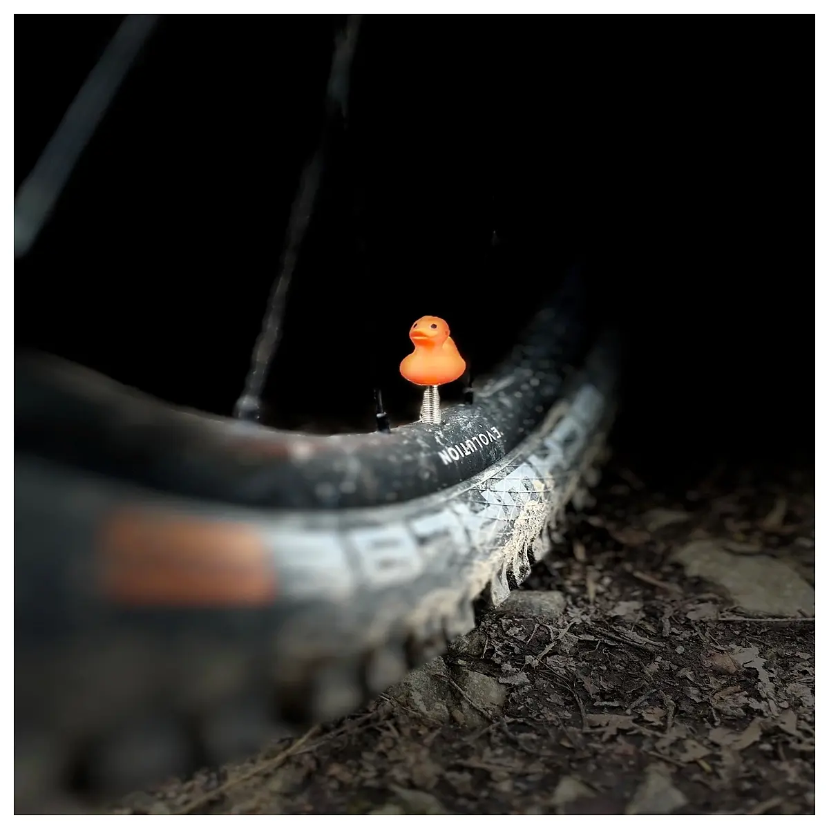 cute duck valve caps presta schrader bike tire accessories stem covers
