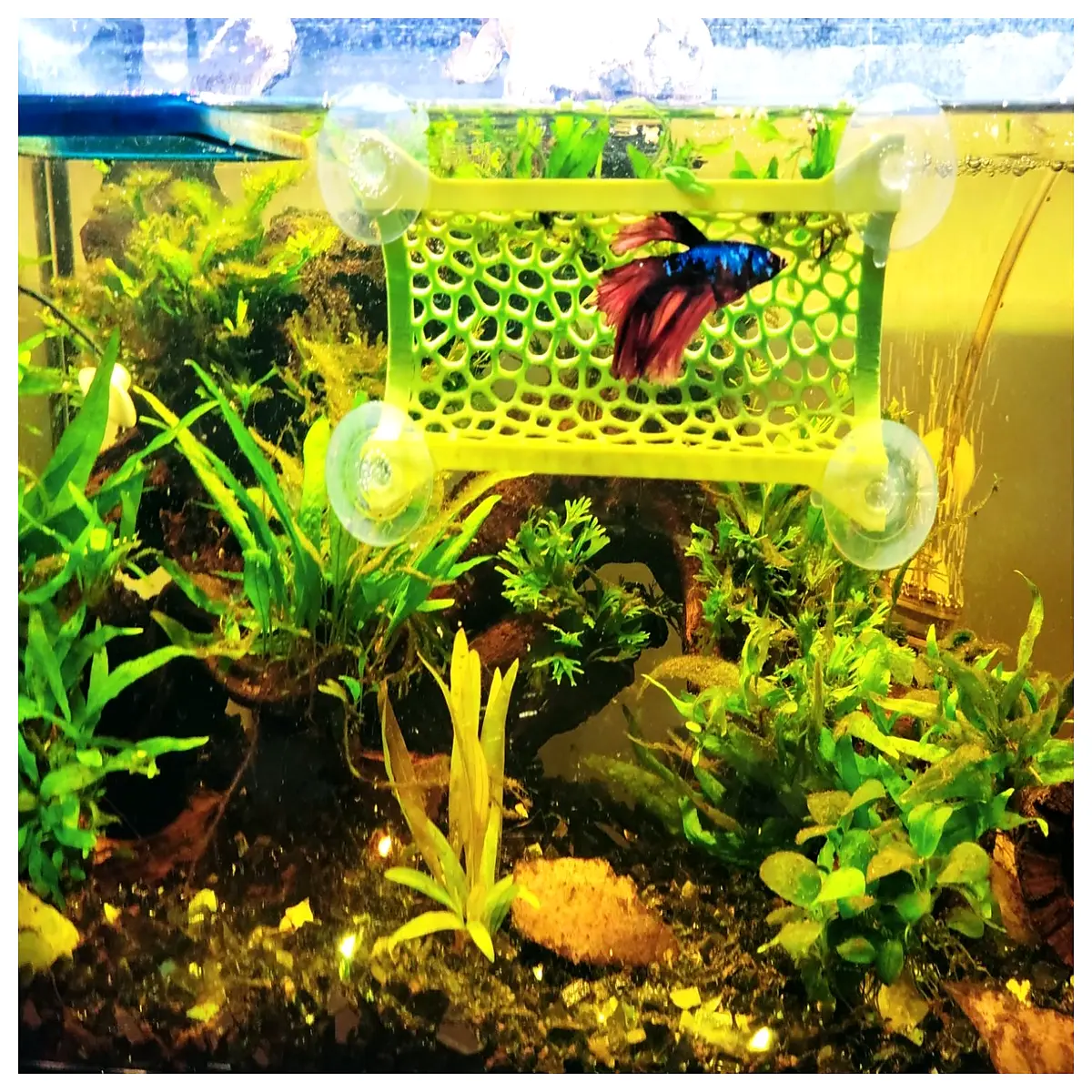 betta fish tank duty metal cabinet storage shelf for aquariums