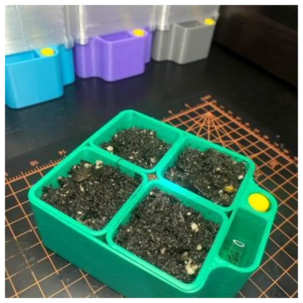 electric seed germinator tray with humidity dome and heat mat for indoor plant propagation starting seeds fast