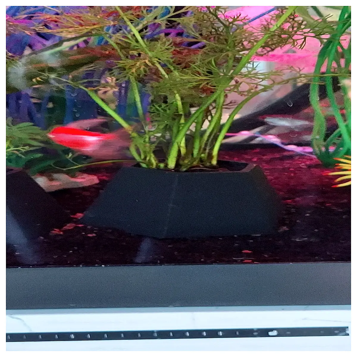 aquarium plant holder clip for rooted plants floating island pot net basket fish tank decor