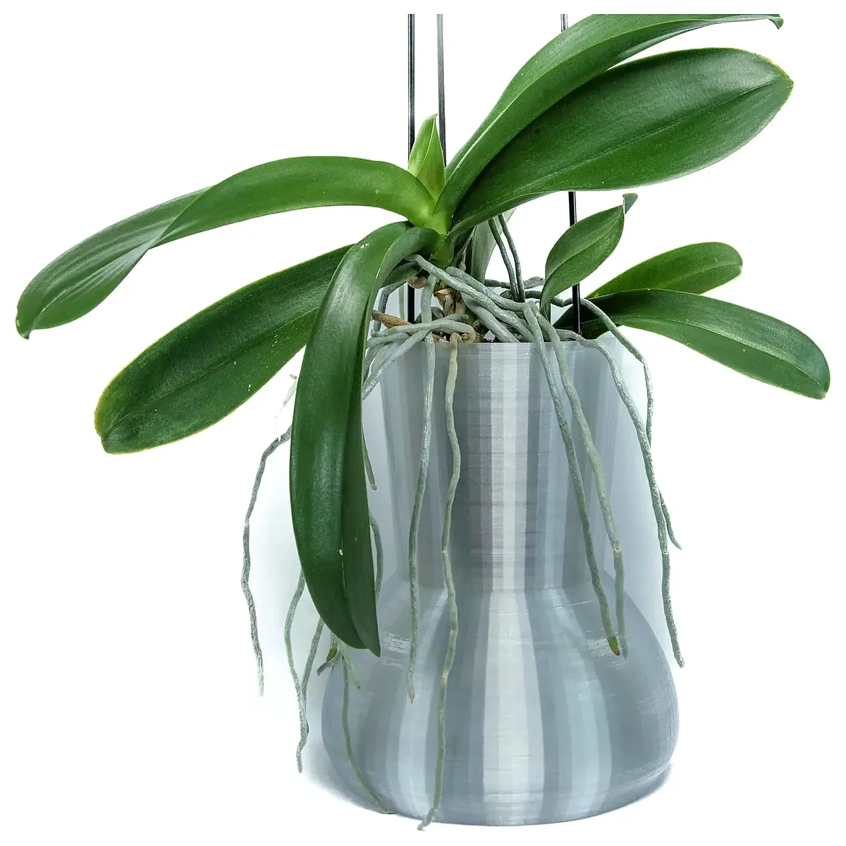 auto orchid watering system timer 17cm drip irrigation for indoor plants greenhouse humidity control