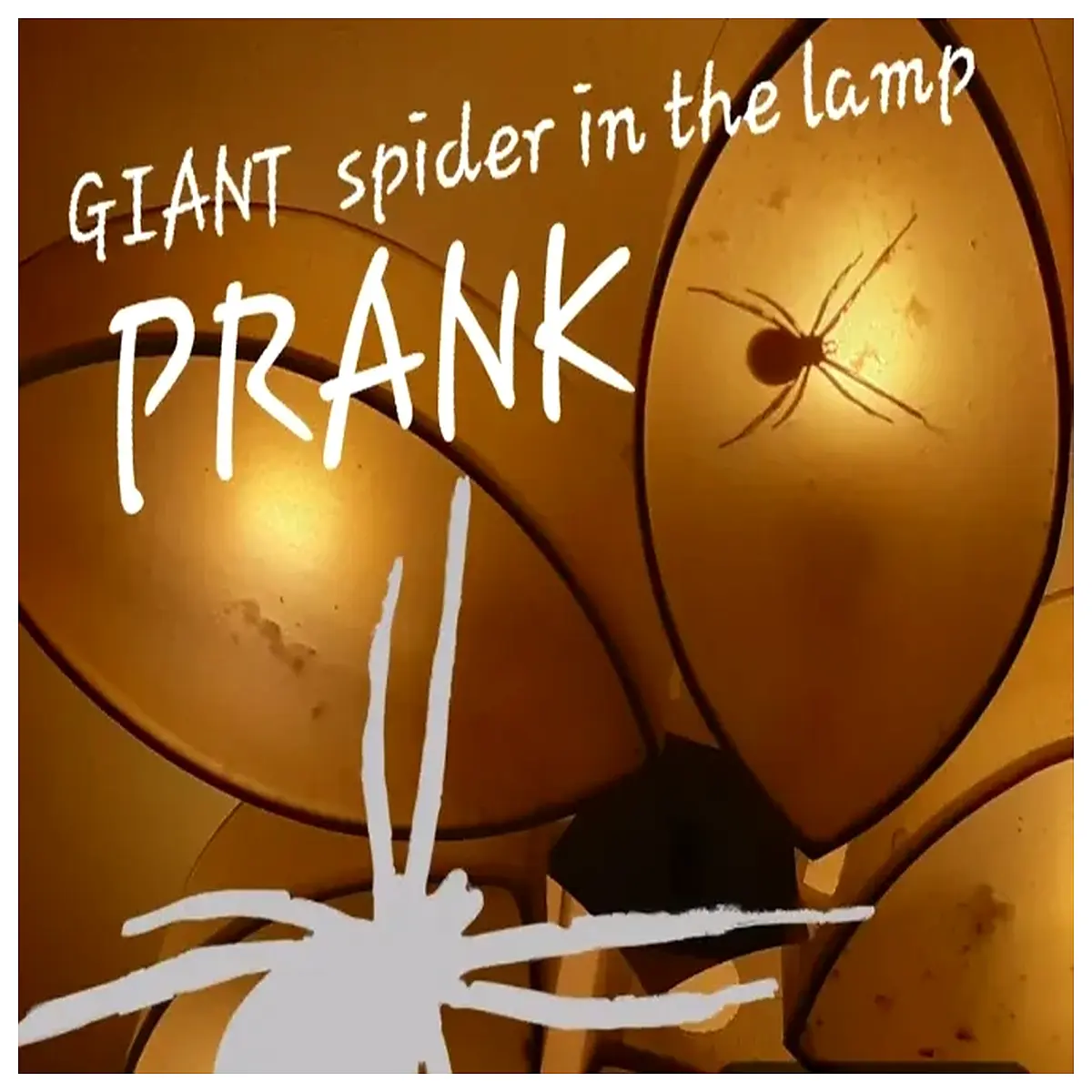 spooky spider prank in for halloween party scares arachnid decoration with lights