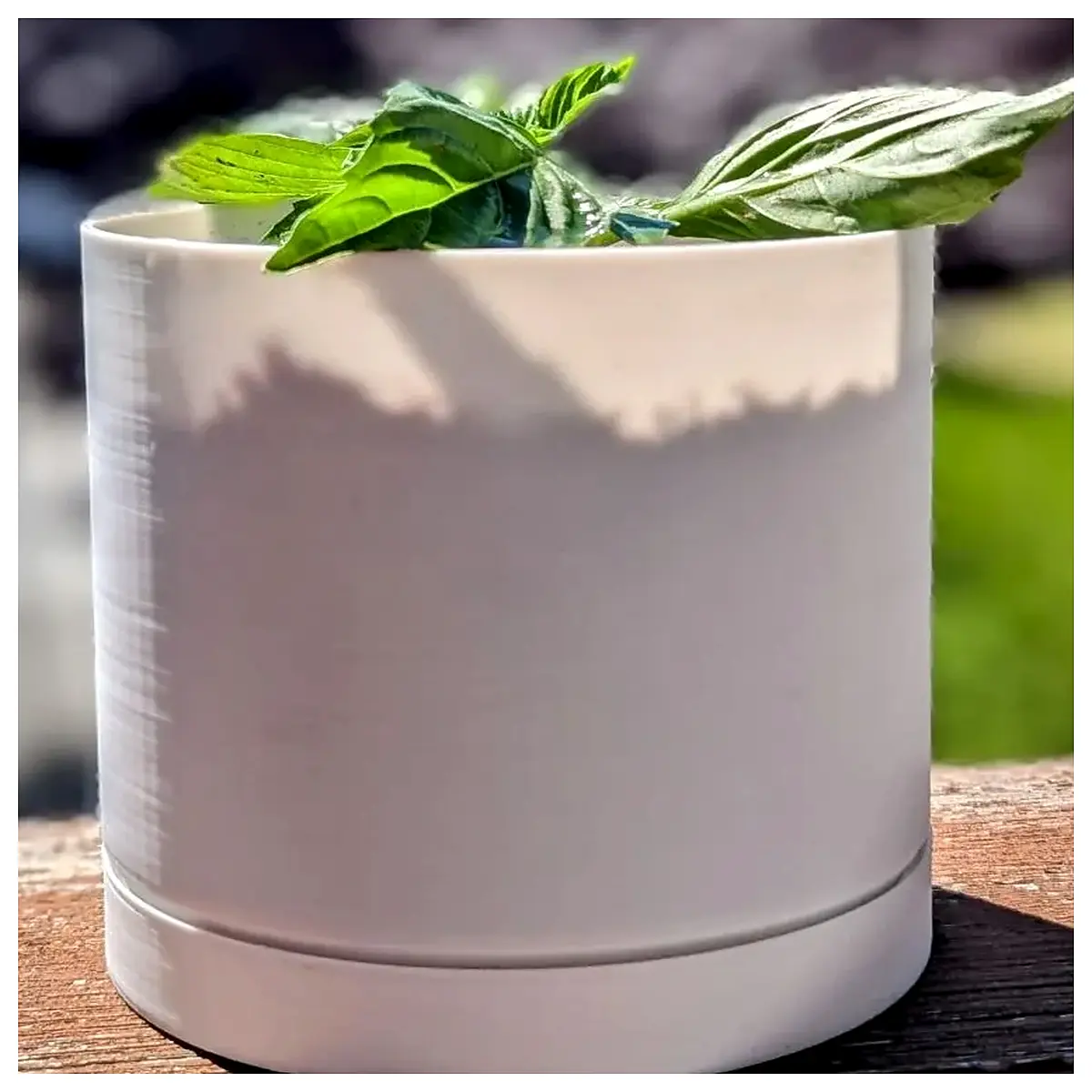 minimalist ceramic planter for indoor succulents and cactus small decorative flower pot with drainage hole