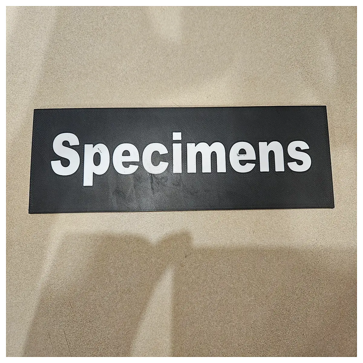 specimen door plaque 95x25mm vintage taxidermy frame wall art rustic home decor