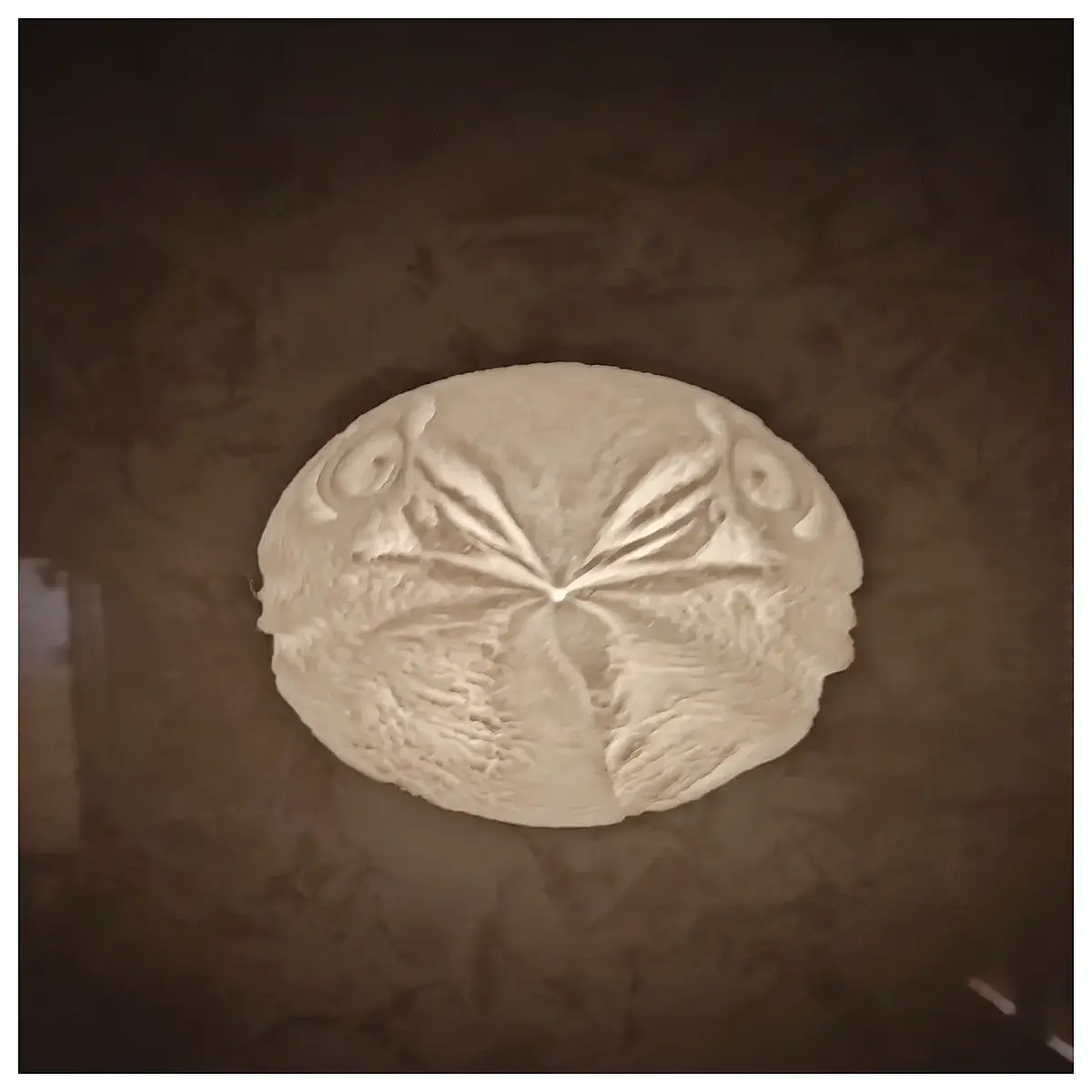 falcon head fridge magnet translucent relief decorative glass effect magnetic art for kitchen cabinet