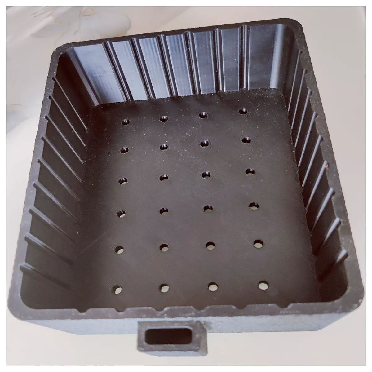 microgreens starter with clear dome lid for home gardening fresh pea shoots sprouting tray
