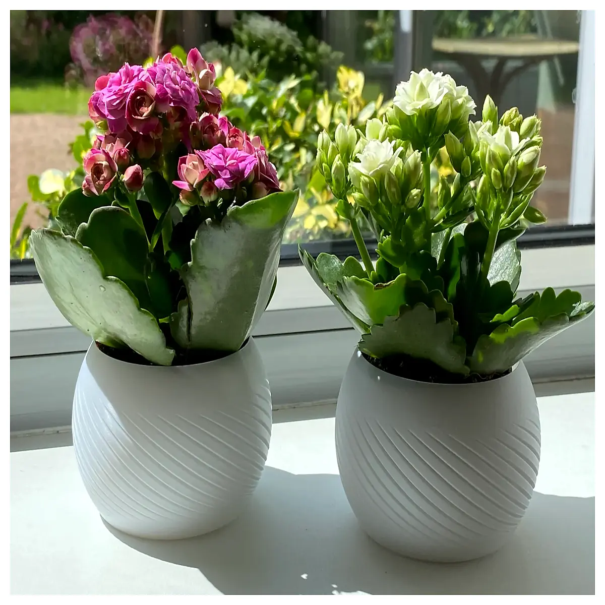 small plastic flower pots for succulents cactus indoor balcony garden planter with drainage hole