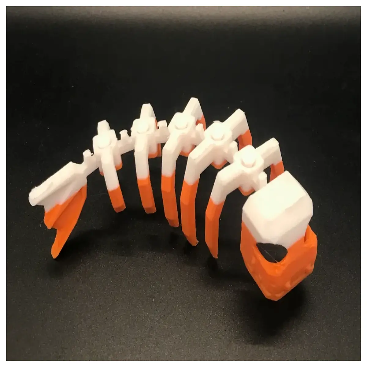 flexible articulated fish skeleton for science education anatomy and diy craft projects