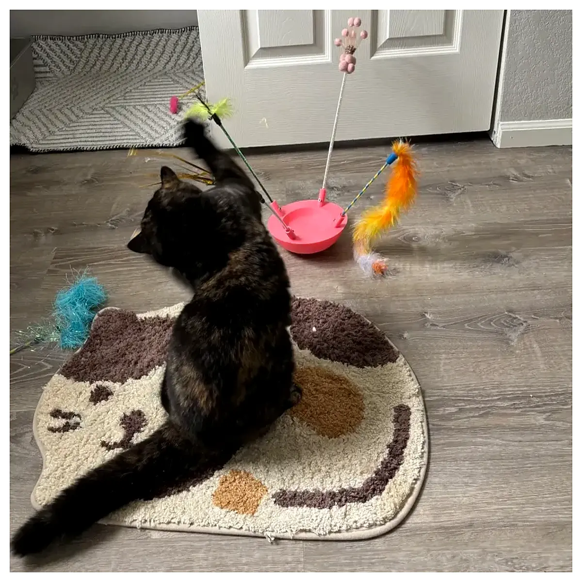 interactive cat teaser wand with feathers bells jingle balls for active indoor play exercise