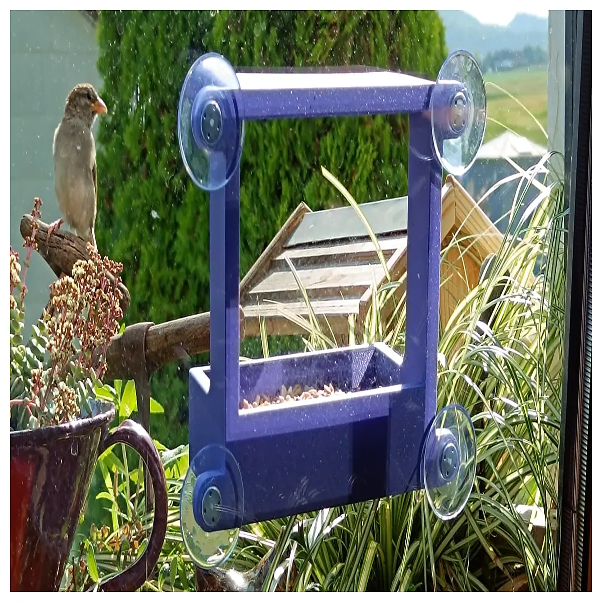miniature bird stage diorama with perches tiny wooden theater props for dollhouse accessories small animal habitat base