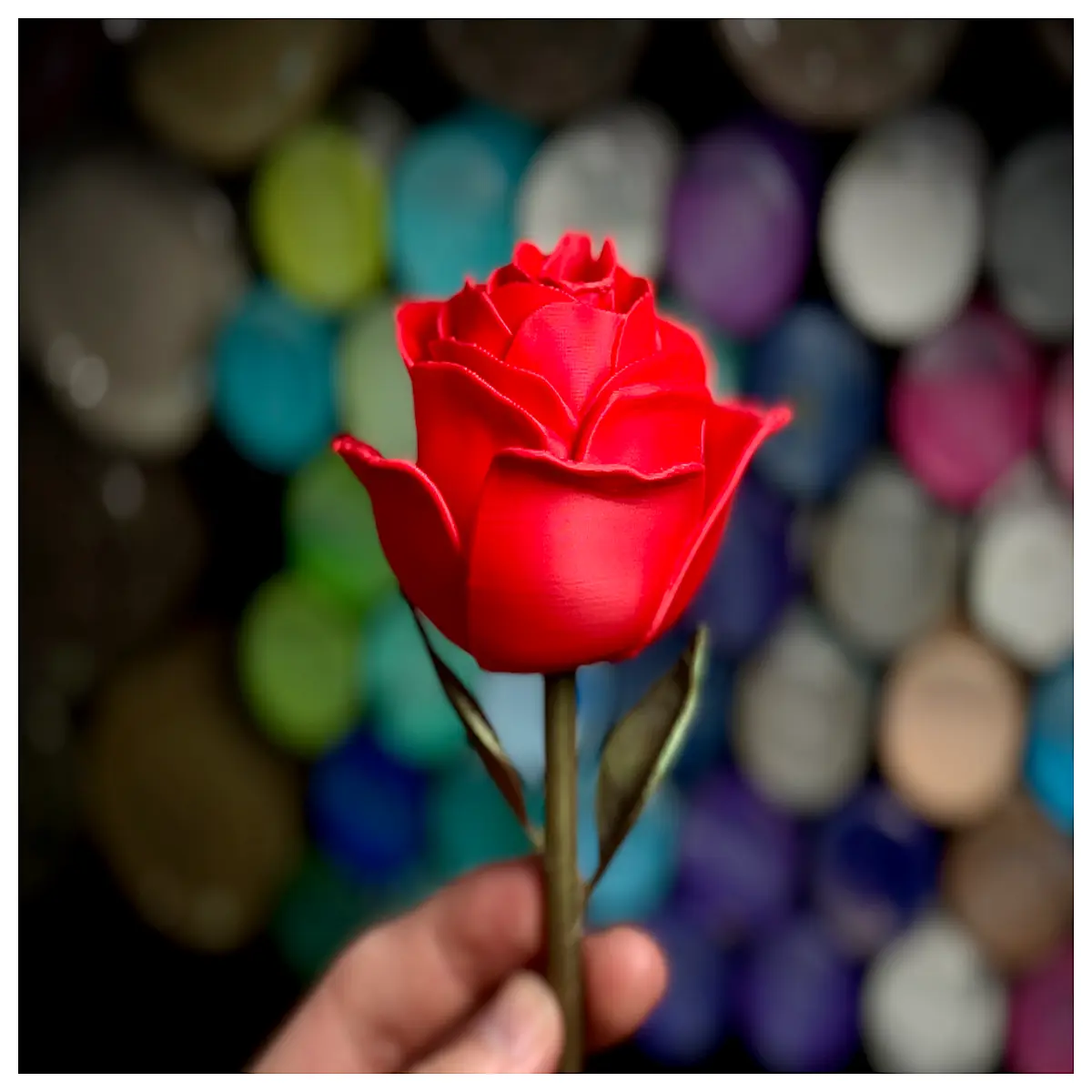 fresh red roses for girlfriend birthday anniversary valentines day delivery long stem bouquet wedding flowers