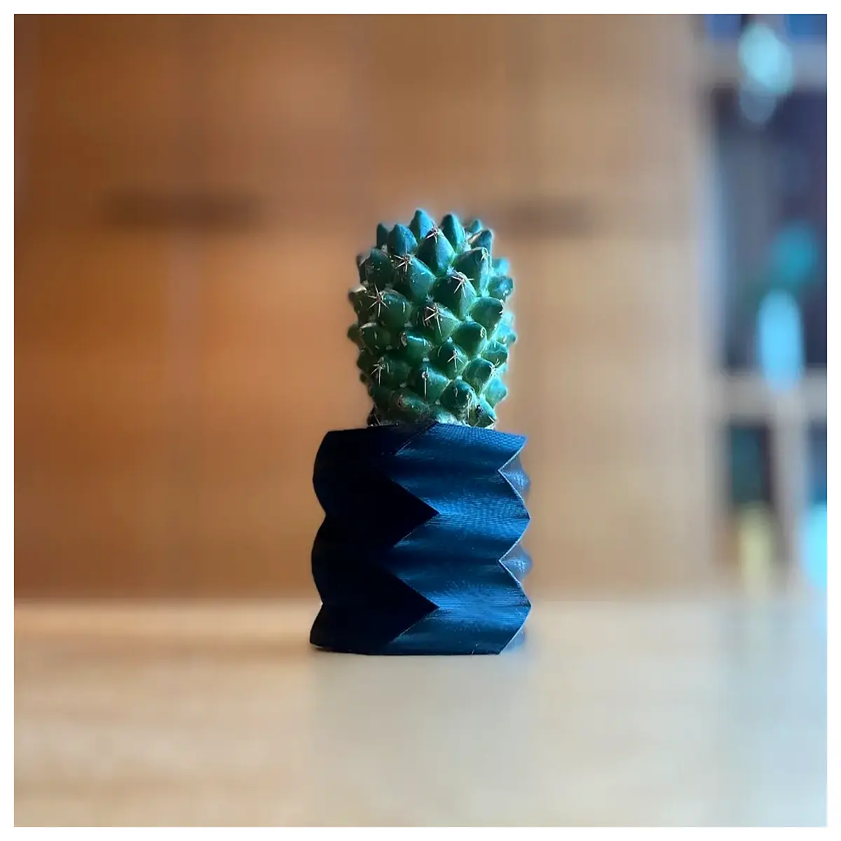 6cm hexagonal twisted planter pot for succulents cactus air plant modern geometric home decor garden nursery container