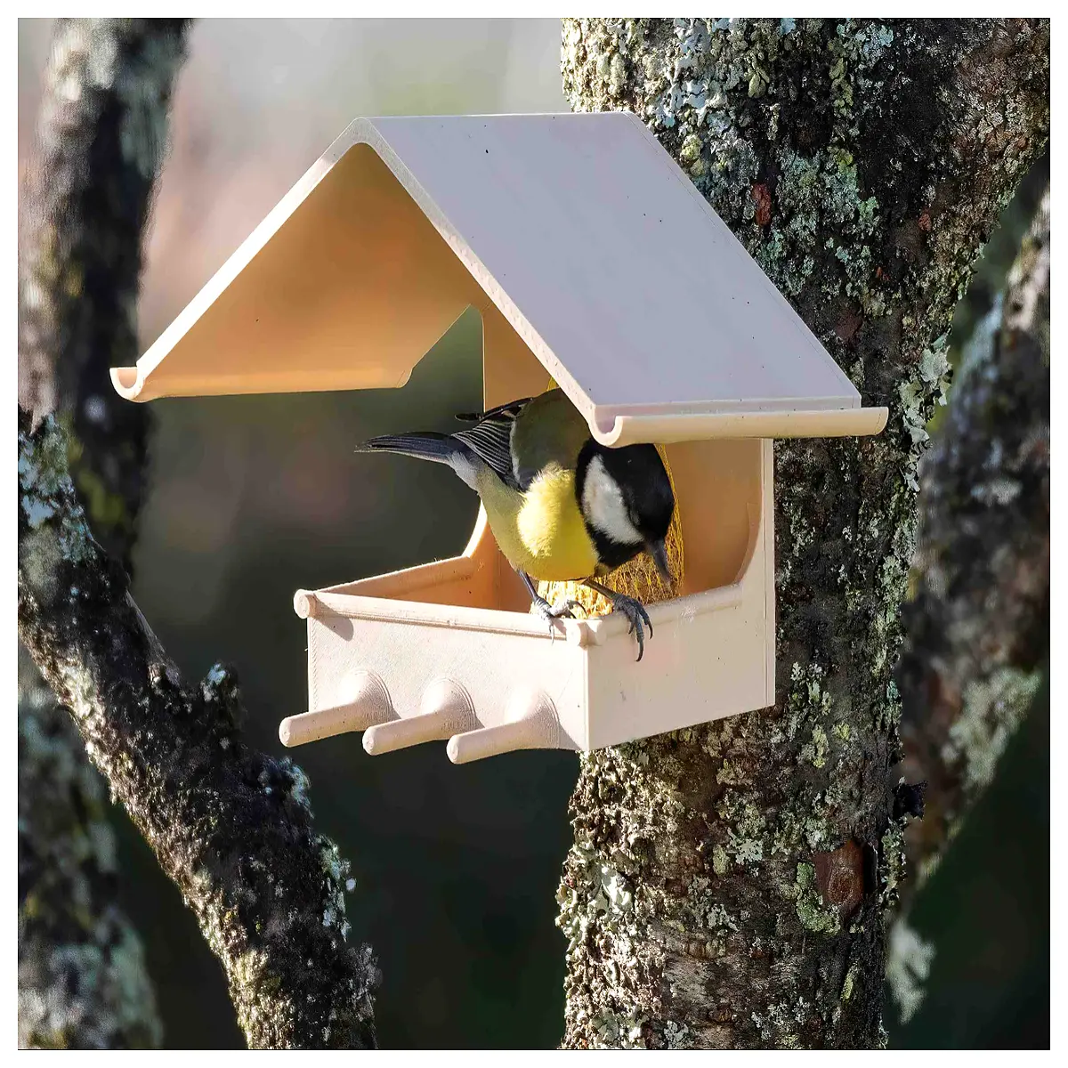 suet bird feeder cage for wild birds outdoor garden hanging anti squirrel