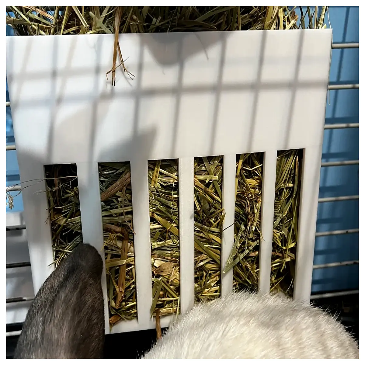 rabbit hay rack feeder holder for guinea pig cage small animal grass
