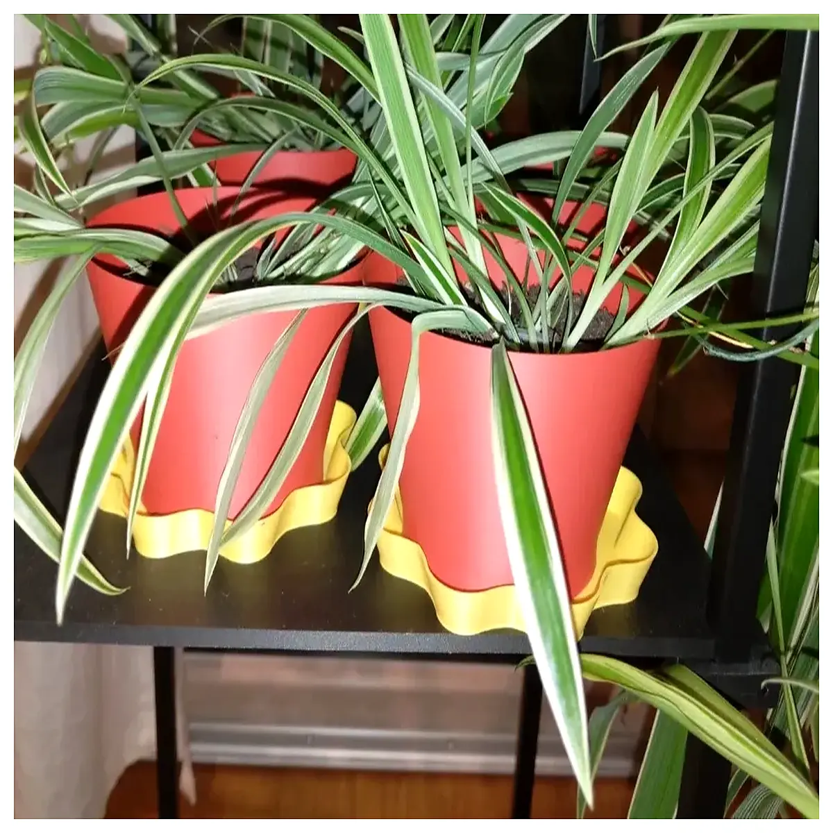 small saucers for indoor plants under 70mm compact plastic plant pots trays drip catchers low profile flower pot bases