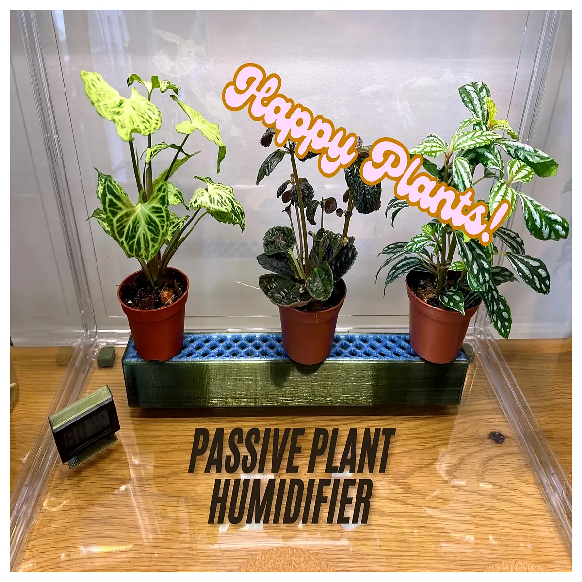 natural plant humidifier no electricity indoor air for dry skin home office decor