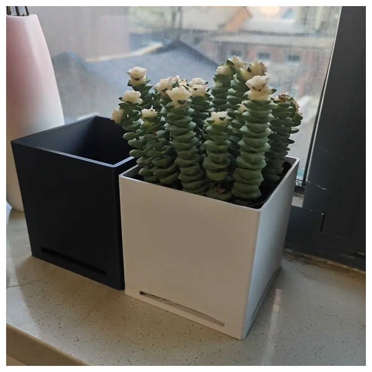 self watering square planter office desk ceramic pot leak proof plant holder indoor succulent container