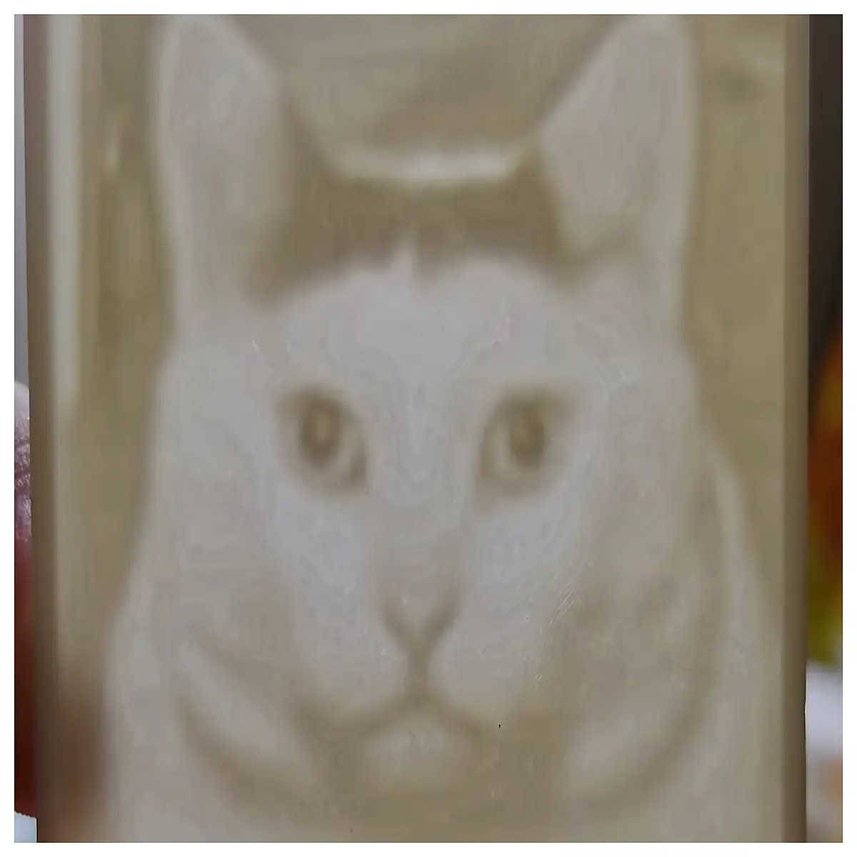 cute translucent embossed cat night glowing animal decor for bedroom soft for kids room aesthetic desk accessory