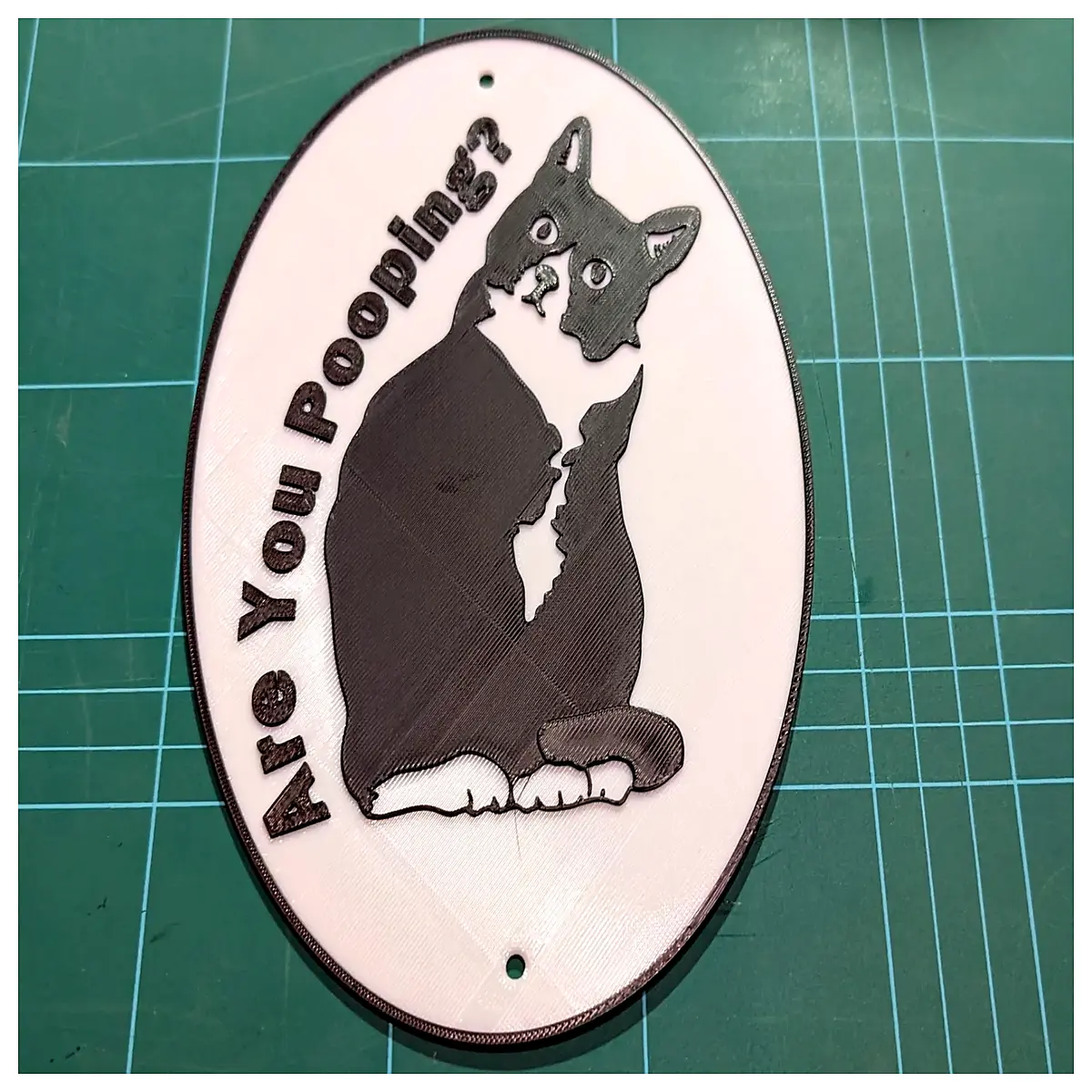funny tuxedo cat bathroom sign humor decor do you poop here warning sticker for home office