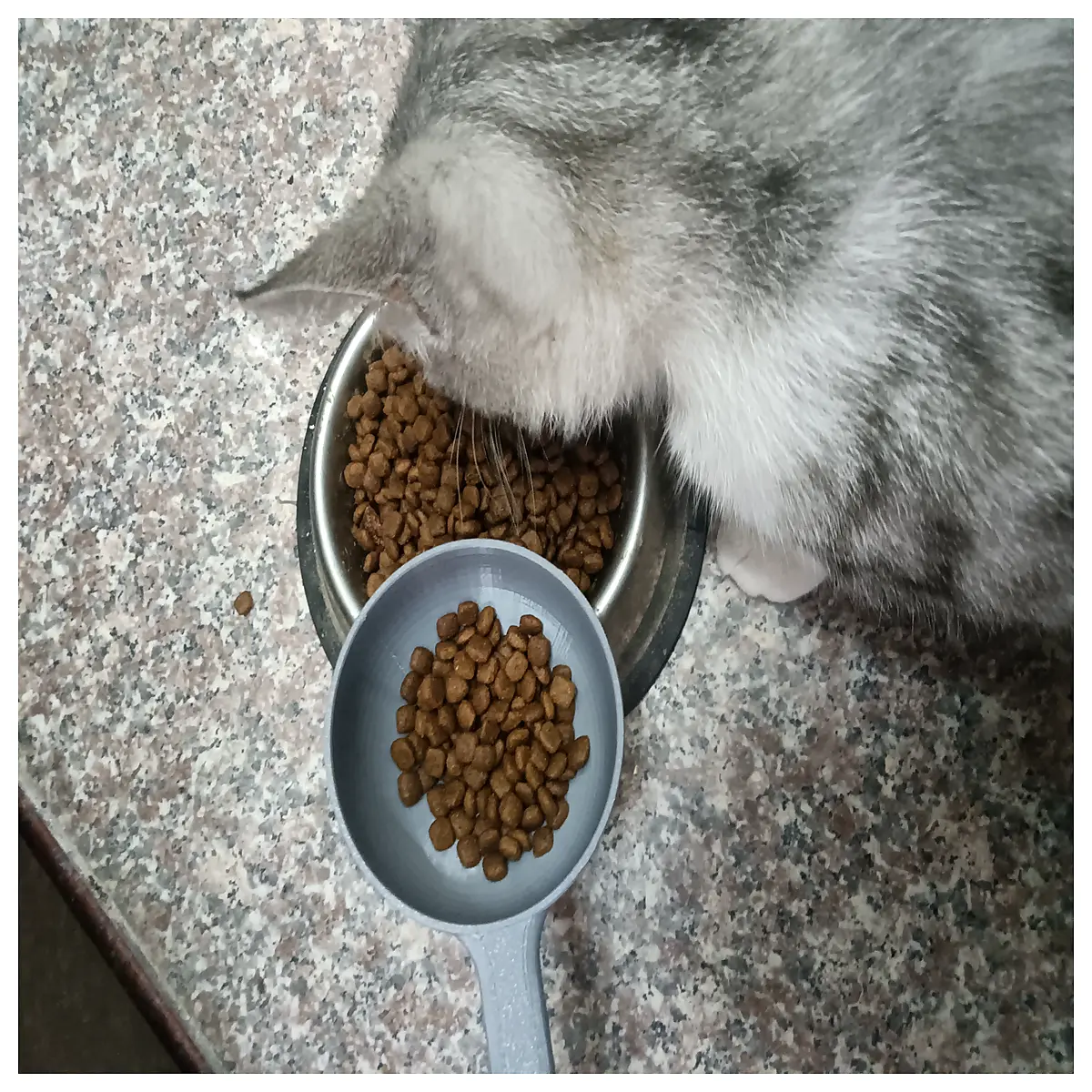 pet food scoop measuring spoon for cats dogs dry kibble portion control dispenser tool
