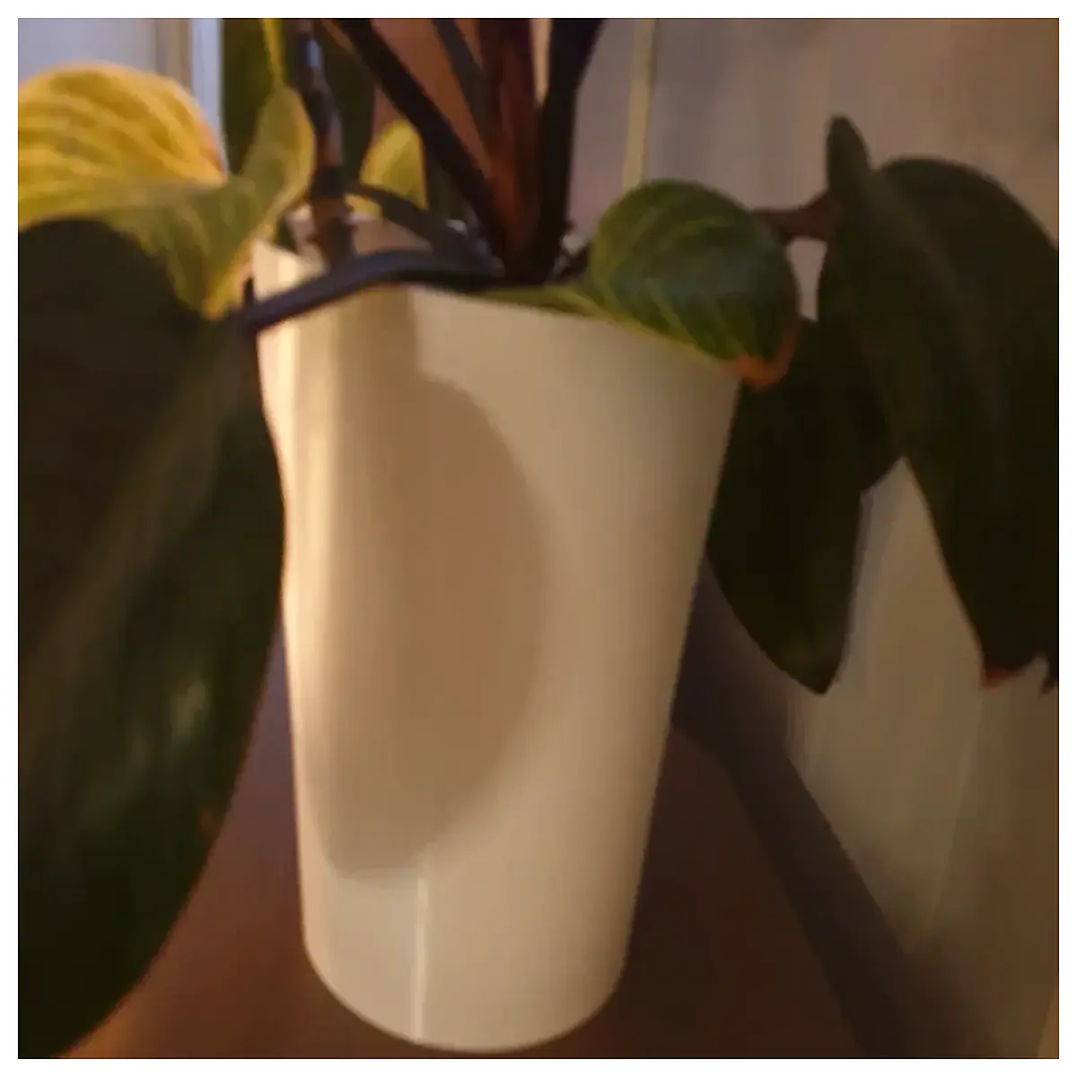 small plastic flower pots for indoor plants succulents cactus home decor