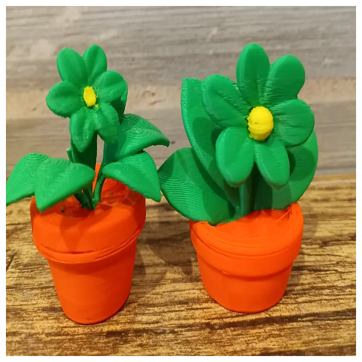 self watering plant pots with drainage indoor outdoor decorative ceramic succulent cactus containers for home garden decor