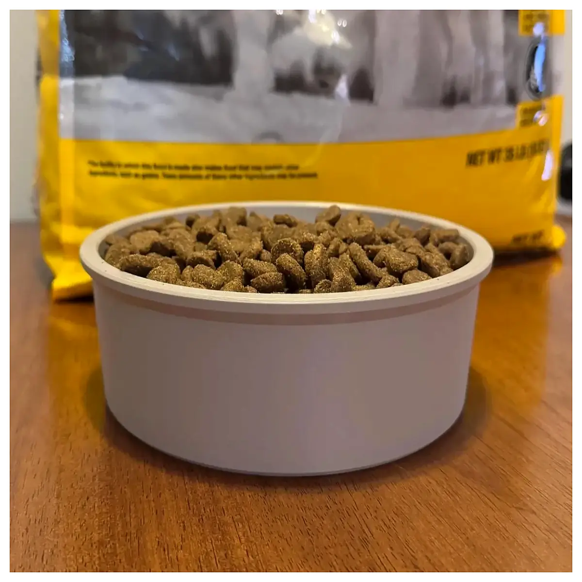 pet bowl 5 cup capacity stainless steel dog food dish non slip silicone base anti spill water feeder for medium large dogs cats