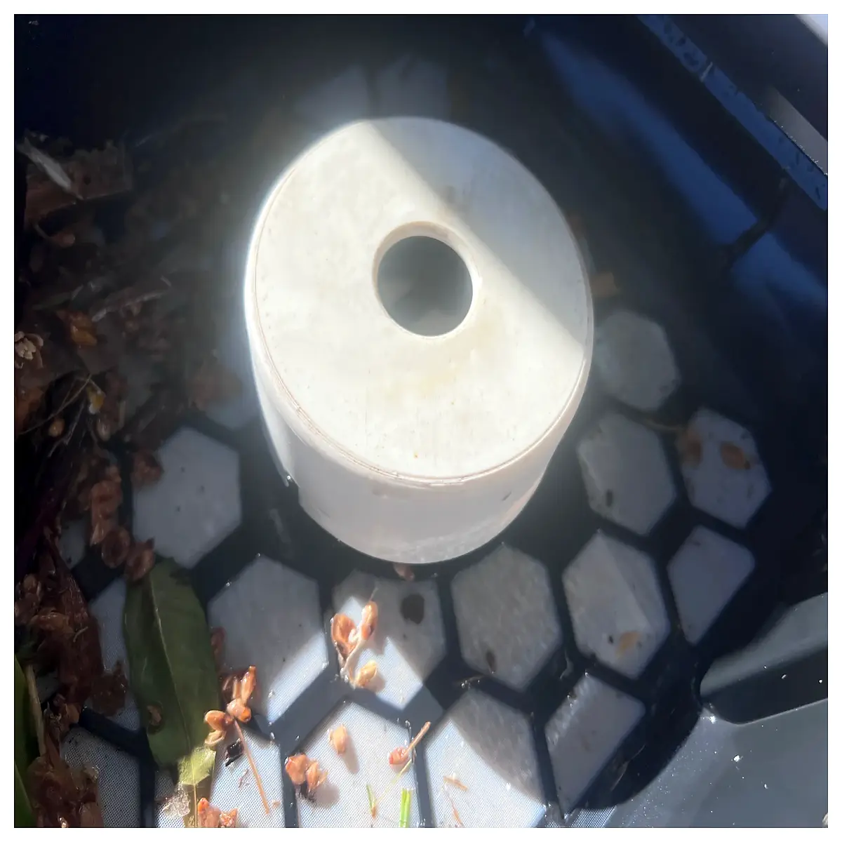 betta solar pool skimmer chlorine cap replacement float dispenser cover