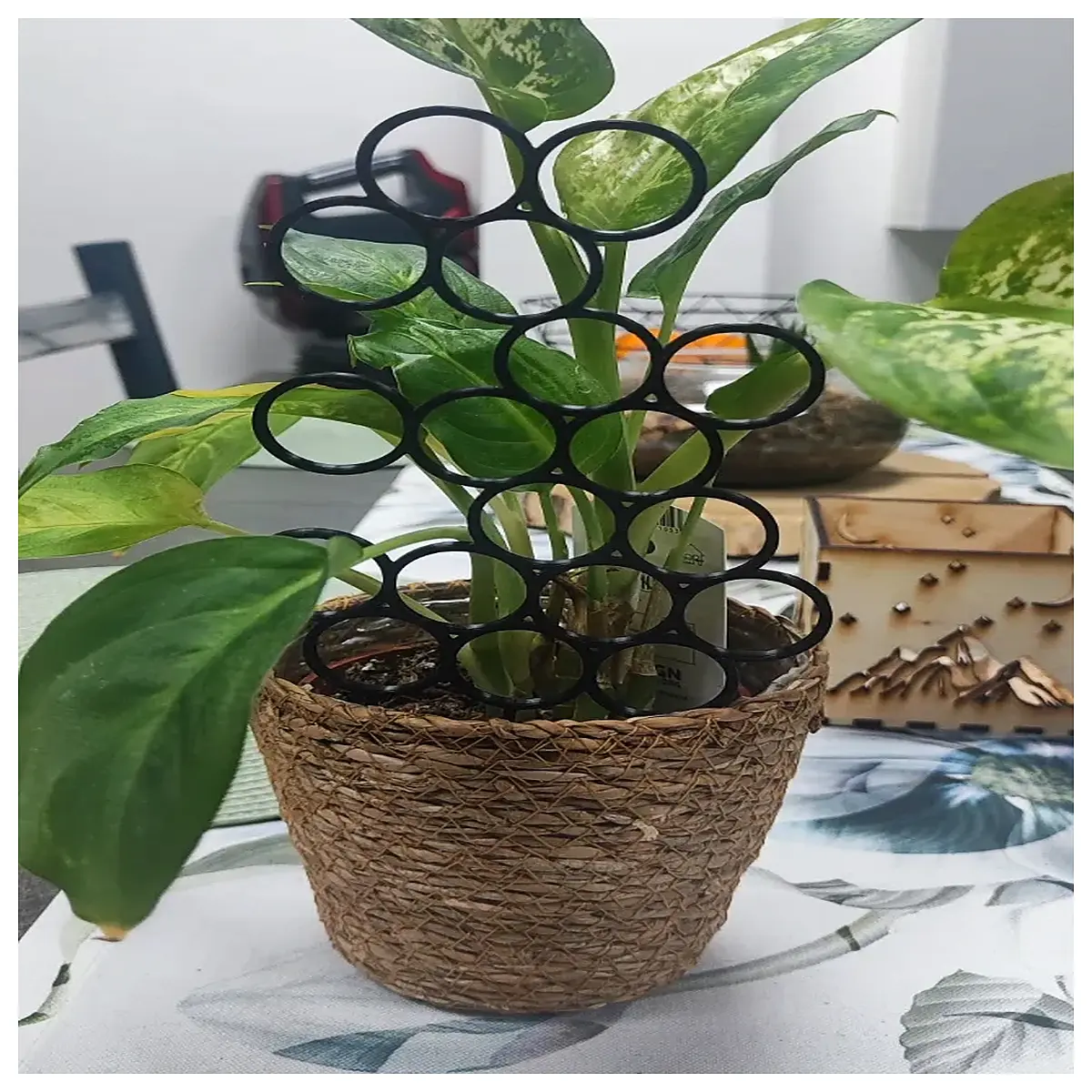 round plant support stakes for climbing roses spiral vine trellis rings duty flower garden holders