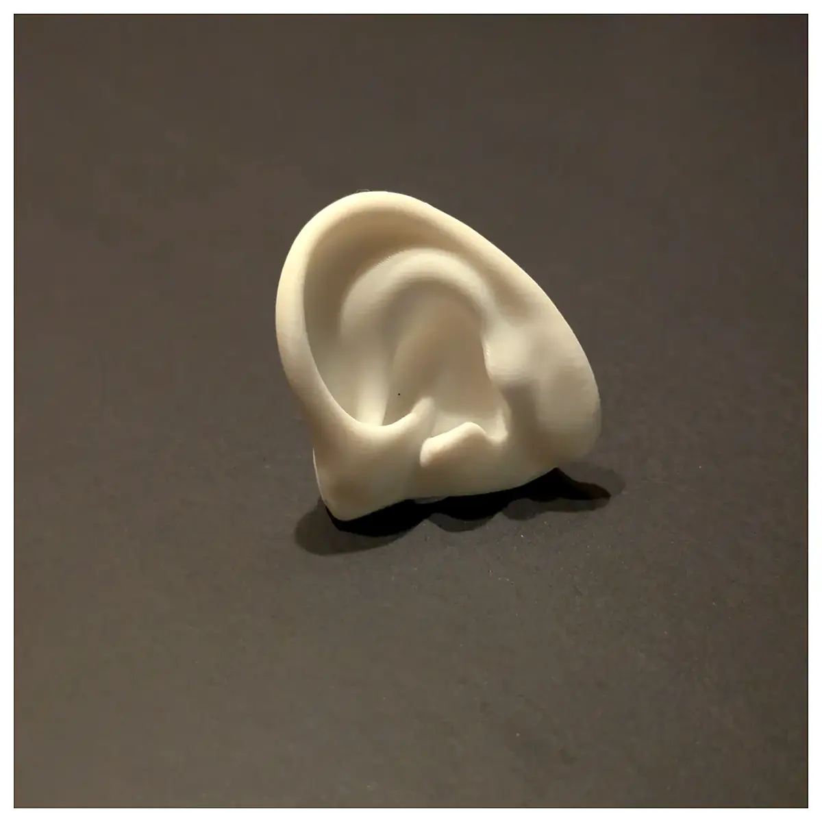 cute ear shaped fridge magnets for kids magnetic learning toys educational kitchen decor baby sensory play tools