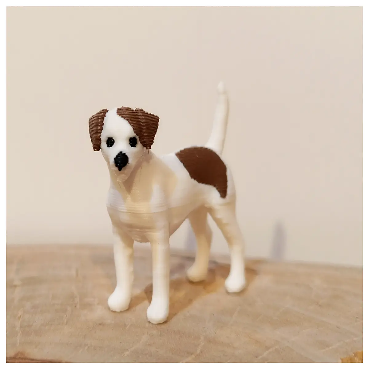 cute jack russell terrier puppy for sale high energy small dog breed active family pet companion