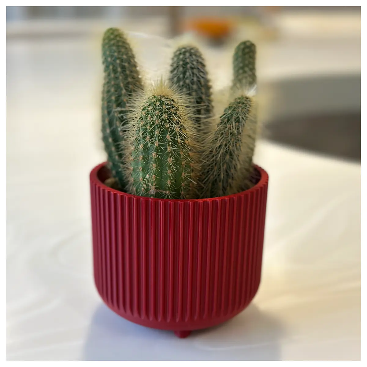 decorative ribbed ceramic planter pot for indoor succulents and cacti modern minimalist flower vase