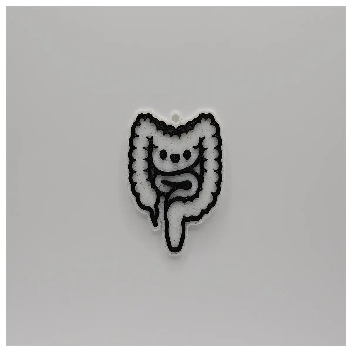 cute anatomy intestine keychain medical student gift science teacher appreciation novelty bag charm educational biology accessory