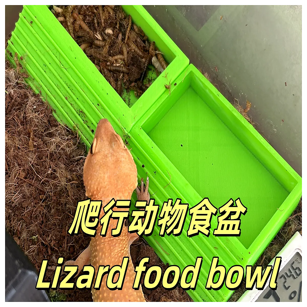 reptile food dish ceramic non slip for bearded dragon gecko tortoise terrarium accessories