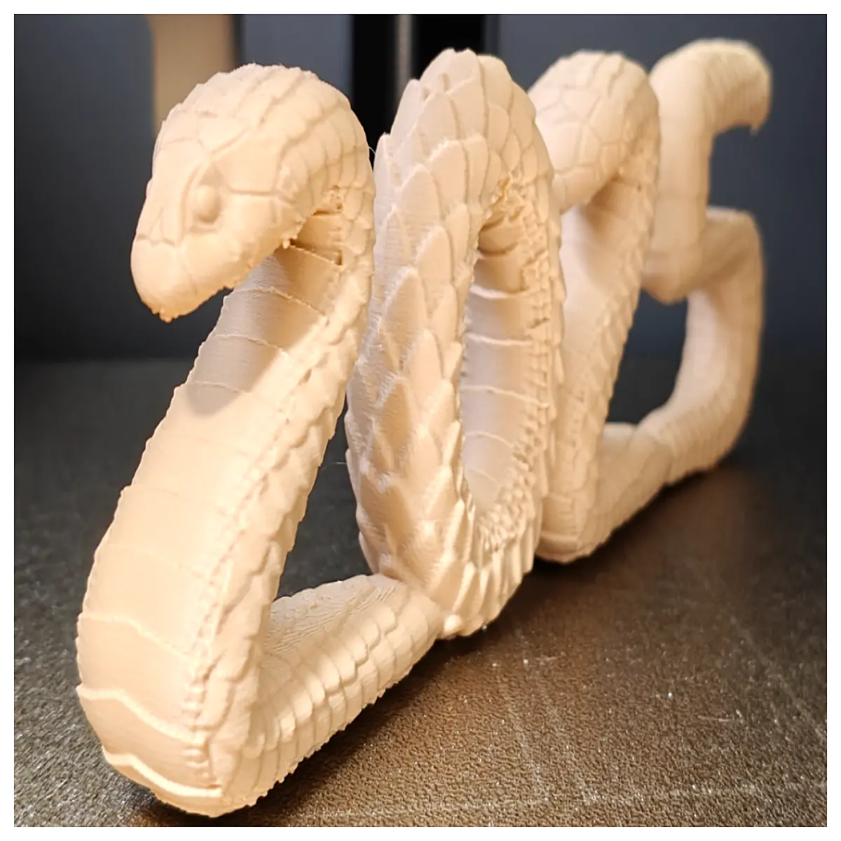 2025 snake pattern clothing trendy aesthetic streetwear viral tiktok fashion