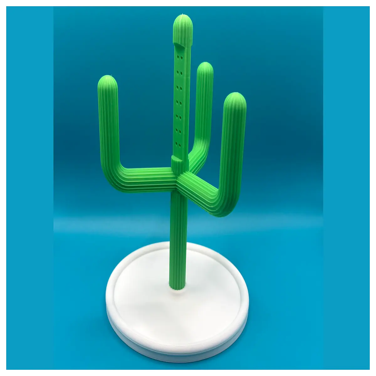 cactus jewelry organizer for vanity succulent ring holder desert plant necklace hanger storage bedroom decor gift